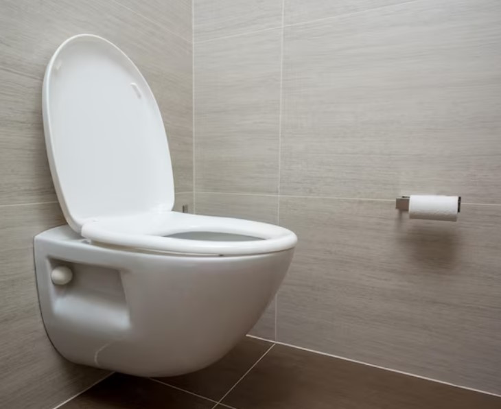 Les 10 astuces les plus efficaces pour déboucher vos toilettes sans produits chimiques