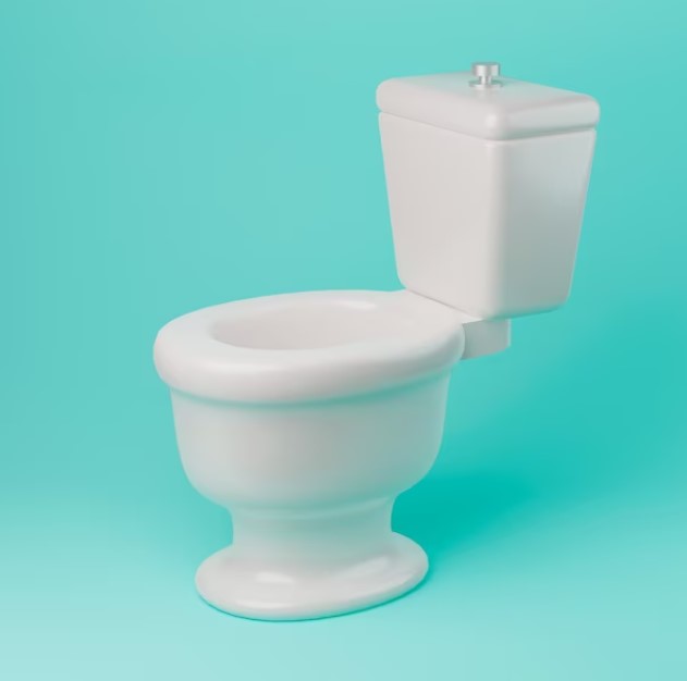 Les erreurs à éviter lors du débouchage de vos toilettes