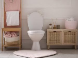 Les produits naturels à utiliser pour déboucher les toilettes et les canalisations