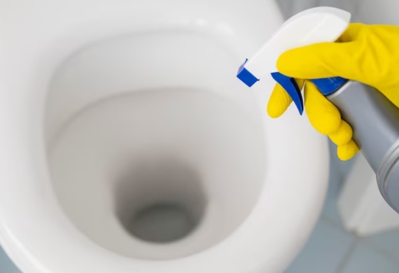 Les risques liés aux produits chimiques pour déboucher vos toilettes